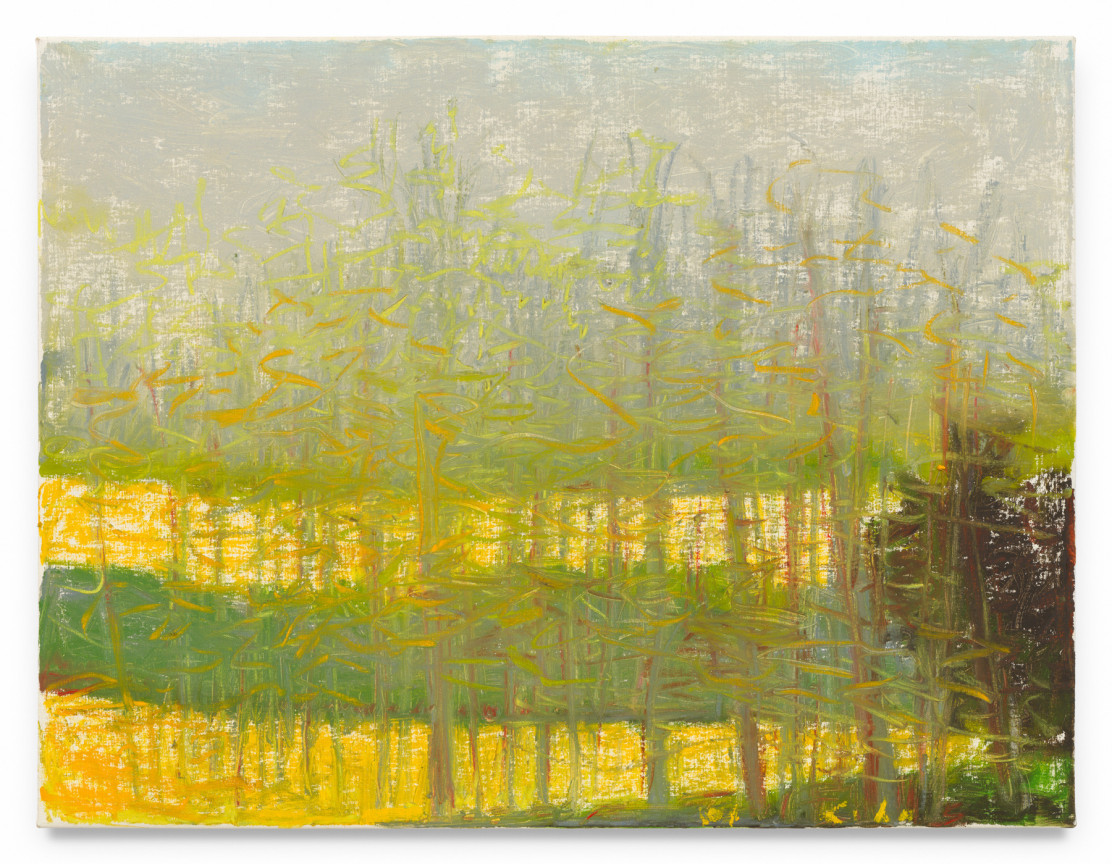 Preference for Green, 2015, Oil on canvas, 26 x 34 inches, 66 x 86.4 cm, MMG#37947
