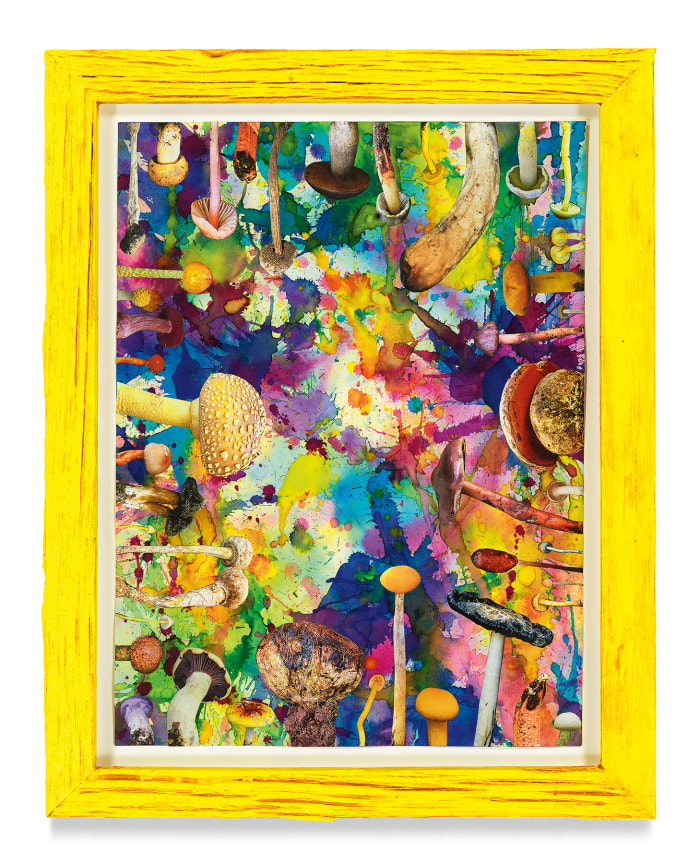 Untitled (SHRooMS), 2021, Watercolor and collage on paper with artist frame (reclaimed wood), 14 5/8 x 11 3/4 inches, 37.1 x 29.8 cm, MMG#33181