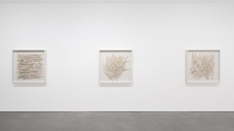 ROSANA CASTRILLO DIAZ