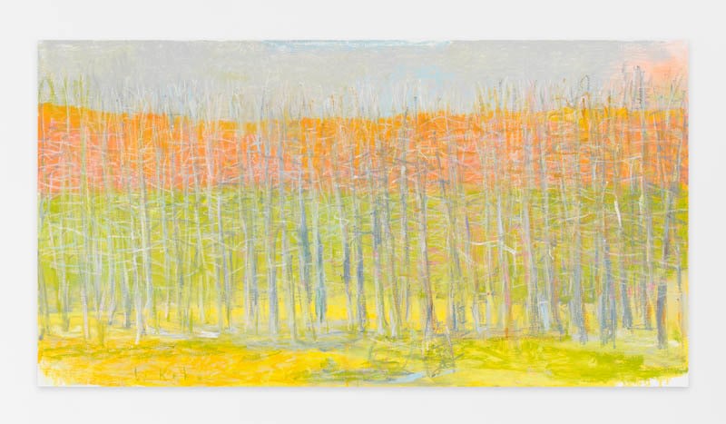 Translucent (Large Version), 2015, Oil on canvas, 36 x 68 inches, 91.4 x 172.7 cm, AMY#22569