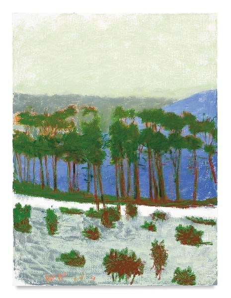 Off Carpenter Road, 2017, Oil on canvas, 40 x 30 inches, 101.6 x 76.2 cm, AMY#29025