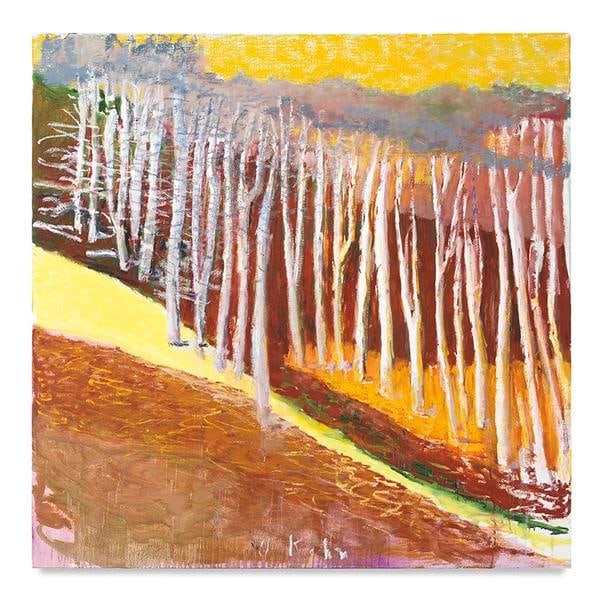 Half Wild Landscape, 2017, Oil on canvas, 52 x 52 inches, 132.1 x 132.1 cm, AMY#29095