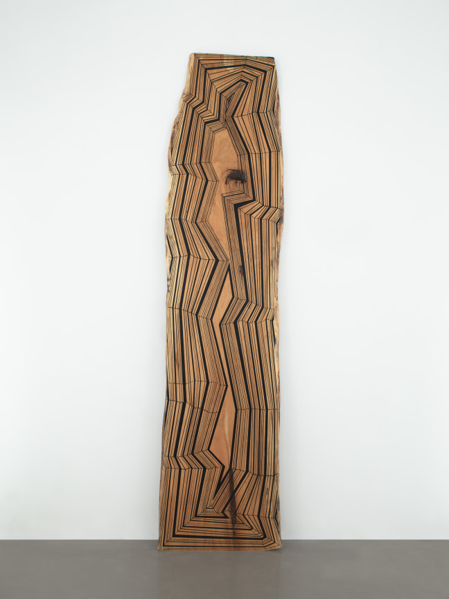 Inspired by the Western Geodes, 2014 - 2015,&nbsp;Acrylic on Elm,&nbsp;104 x 25.5 inches,&nbsp;264.2 x 64.8 cm, MMG#29779