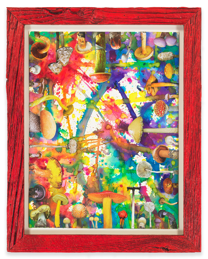 Untitled (SHRooMS), 2021, Watercolor and collage on paper with artist frame (reclaimed wood), 14 5/8 x 11 3/4 inches, 37.1 x 29.8 cm, MMG#33183