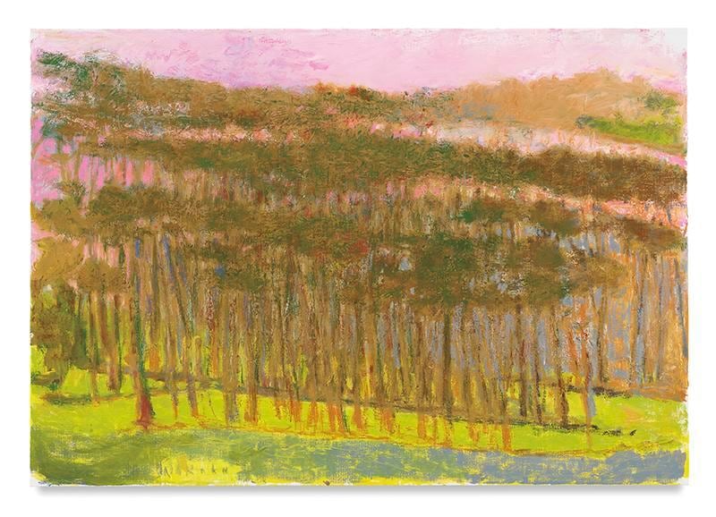 Three Tree Rows, 2017, Oil on canvas, 36 x 52 inches, 91.4 x 132.1 cm, AMY#28823