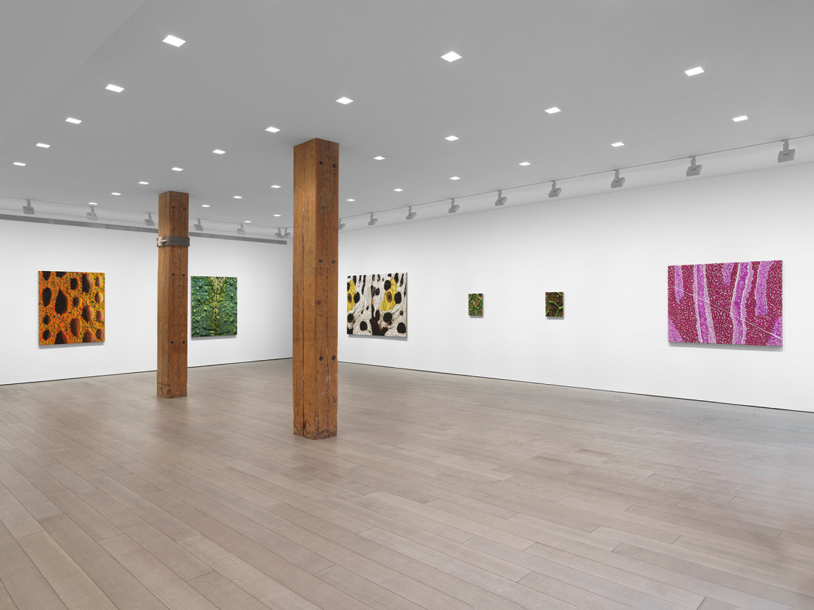 New York, NY: Miles McEnery Gallery, &ldquo;Douglas Melini: Under Your Skin and Over the Moon,&rdquo; 8 May - 21 June 2025.