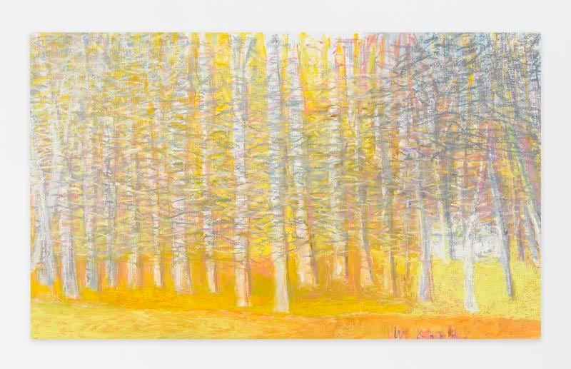 White Cabin in the Woods, 2015, Oil on canvas, 36 x 60 inches, 91.4 x 152.4 cm, AMY#22655