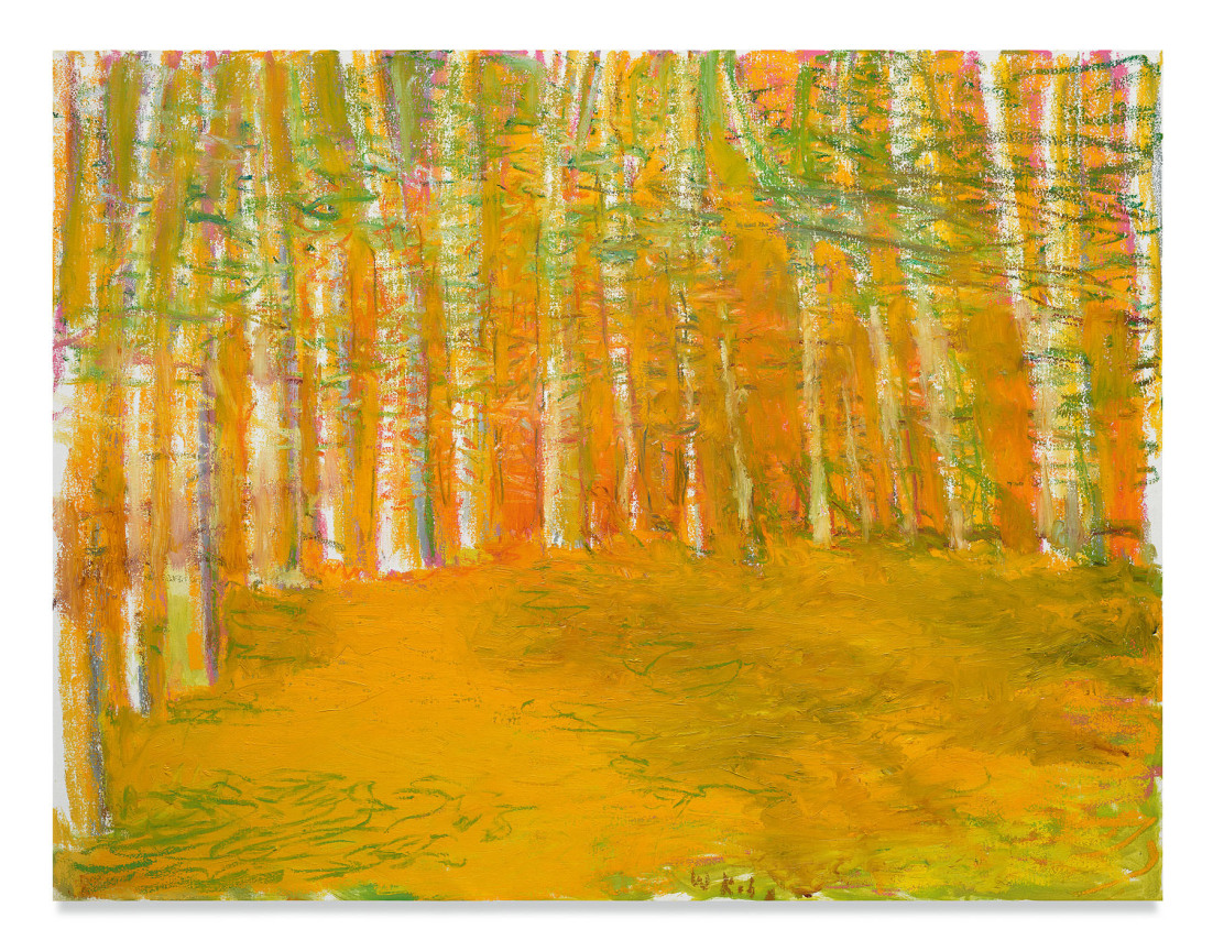 Edge of the Clearing, 2018, Oil on canvas, 40 x 52 inches, 101.6 x 132.1 cm, MMG#30687