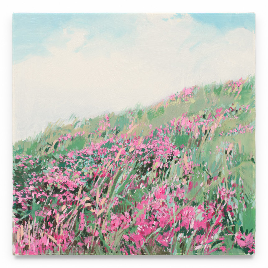 Wildflower Hill, 2023, Mixed media oil on canvas, 17 x 17 inches, 43.18 x 43.18 cm, MMG#36368