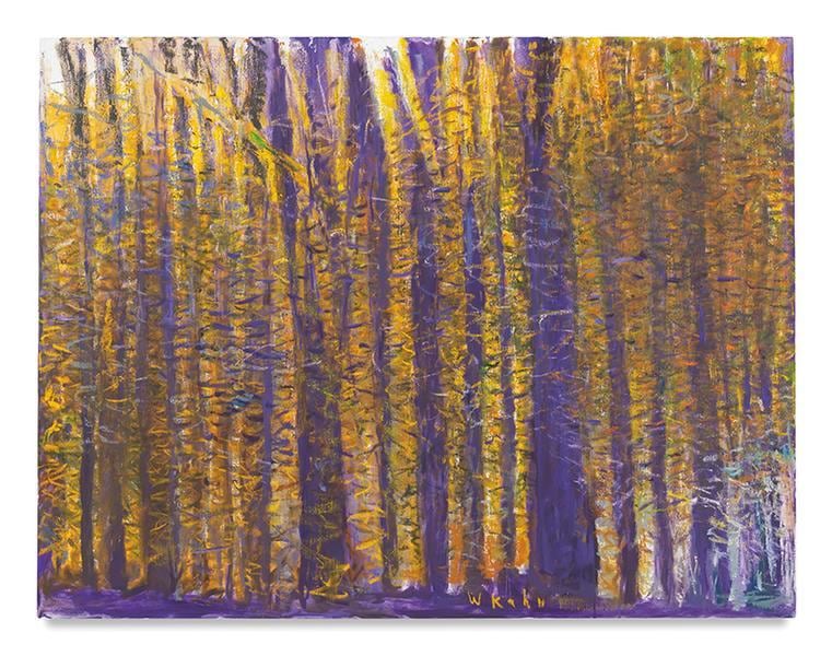 Predominately Red-Violet, 2017, Oil on canvas, 40 x 52 inches, 101.6 x 132.1 cm, AMY#28939