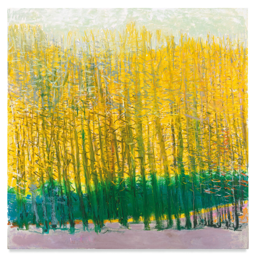 Green in Back, 2017, Oil on canvas, 52 x 52 inches, 132.1 x 132.1 cm, MMG#28809