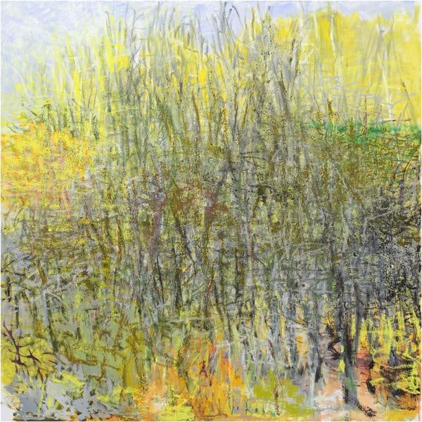 Weaving Gray and Yellow, 2014, Oil on canvas, 52 x 52 inches, 132.1 x 132.1 cm, A/Y#21529