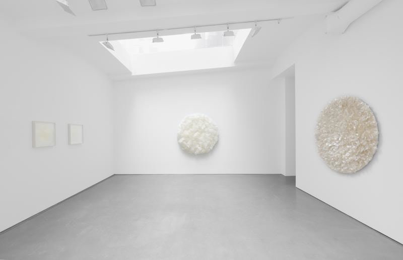 ROSANA CASTRILLO DIAZ