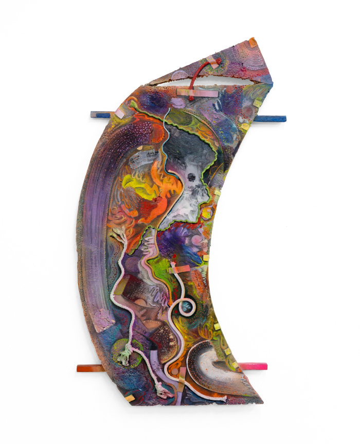 tangled, eternal motion, 2023, Oil and enamel paint, graphite on cast aluminum, 45 x 25 x 2 1/2 inches, 114.3 x 63.5 x 6.4 cm,&nbsp;MMG#35104