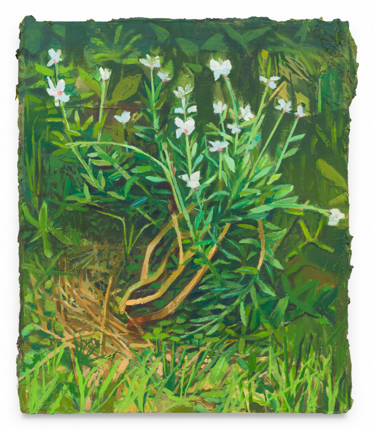 Gaura Lindheimeri, 2024, Oil on canvas, 29 1/4 x 25 1/2 inches, 74.3 x 64.8 cm, MMG#37648