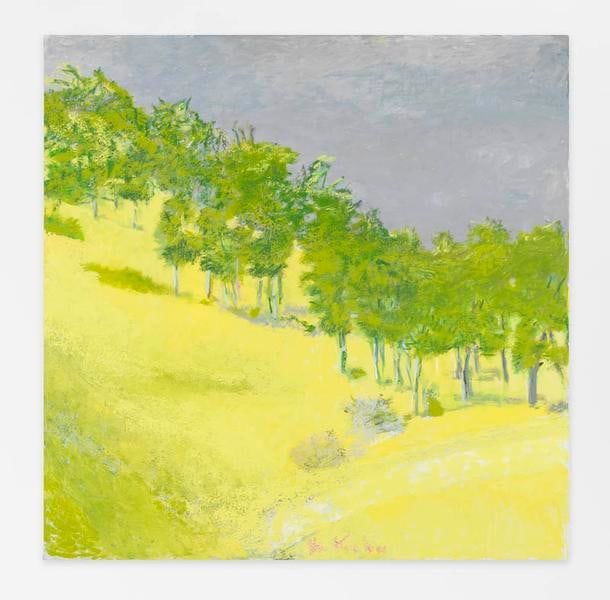 Uphill, 2014, Oil on canvas, 52 x 52 inches, 132.1 x 132.1 cm, AMY#22644