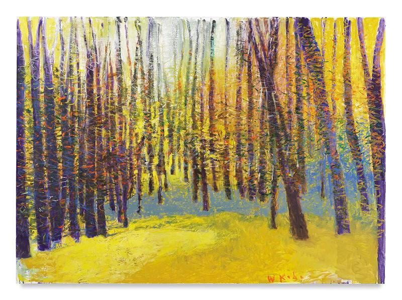 Yellow Overflow, 2017, Oil on canvas, 52 x 72 inches, 132.1 x 182.9 cm, AMY#28962