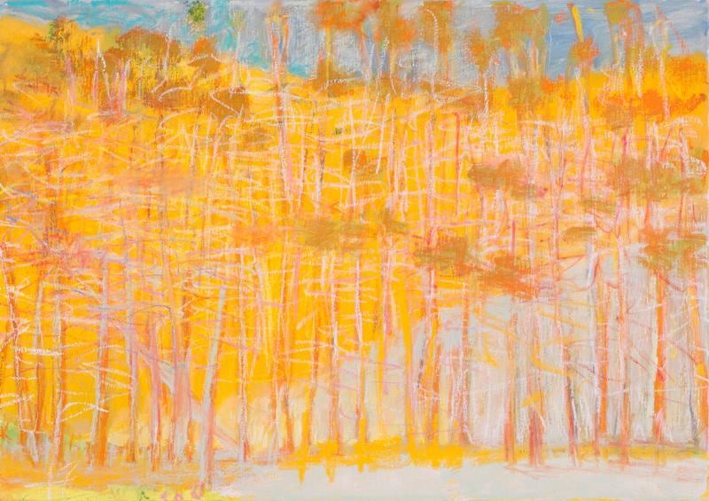 &quot;Orange Satisfied,&quot; 2011, Oil on canvas, 28 x 40 inches, 71.1 x 101.6 cm, A/Y#20442