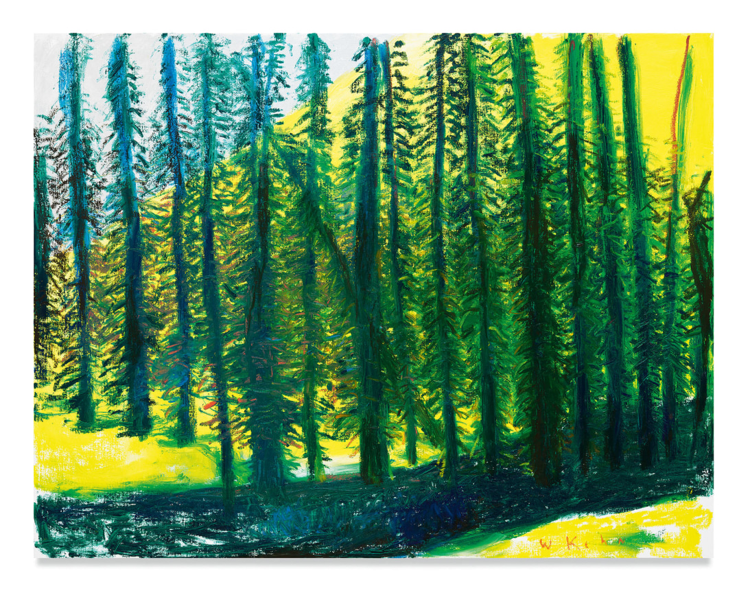 Single Leaning Hemlock Tree, 2018, Oil on canvas, 40 x 52 inches, 101.6 x 132.1 cm, MMG#30741