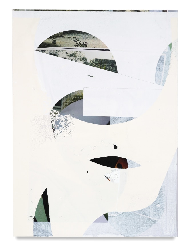 Kevin Appel, Untitled Composite, 2017, Oil and UV cured ink on paper