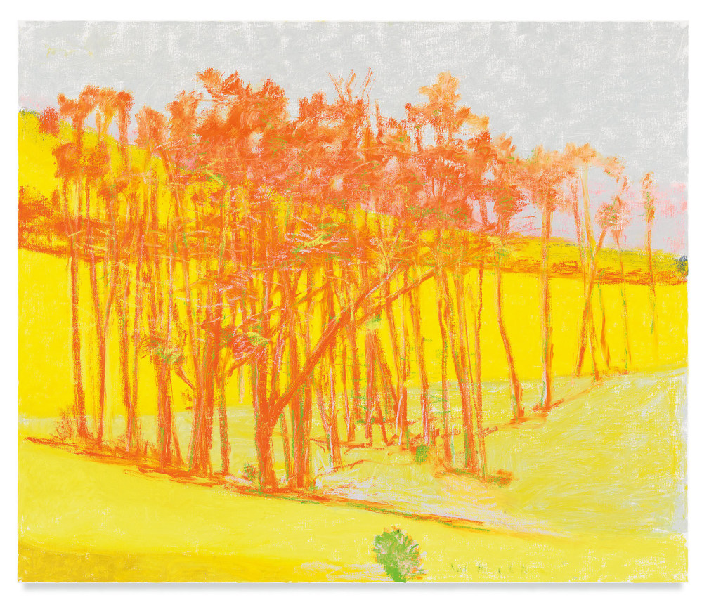 Warm, 2016, Oil on canvas, 50 x 60 inches, 127 x 152.4 cm, MMG#28658