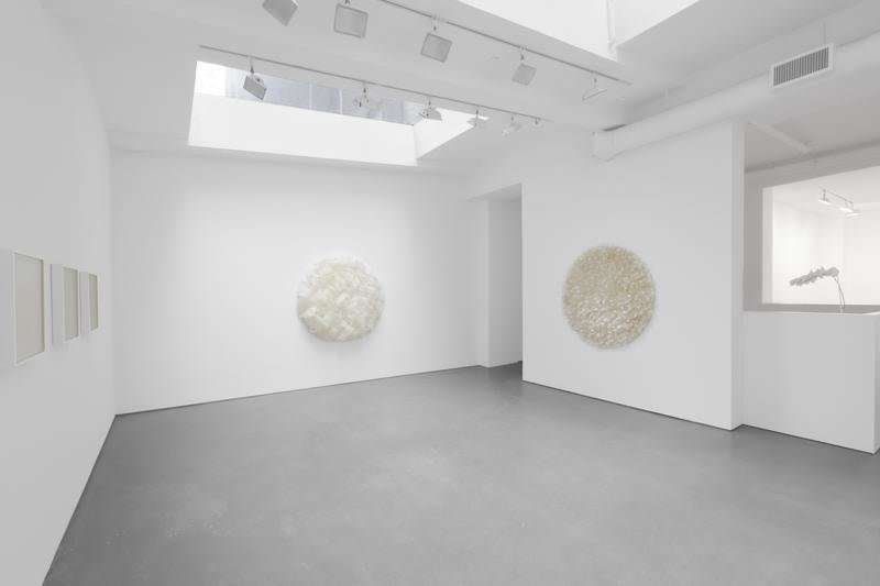 ROSANA CASTRILLO DIAZ