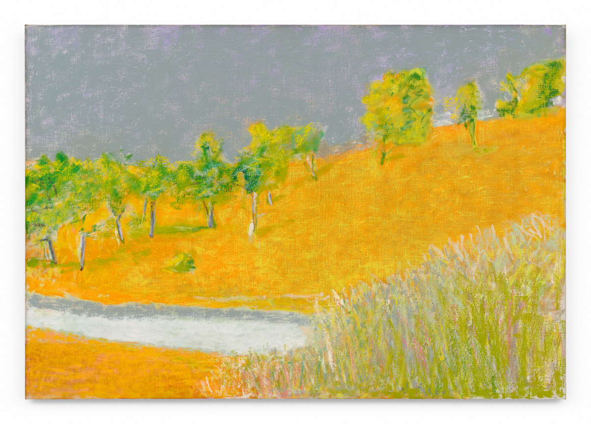White River, 2014, Oil on canvas, 36 x 52 inches, 91.4 x 132.1 cm, MMG#37543
