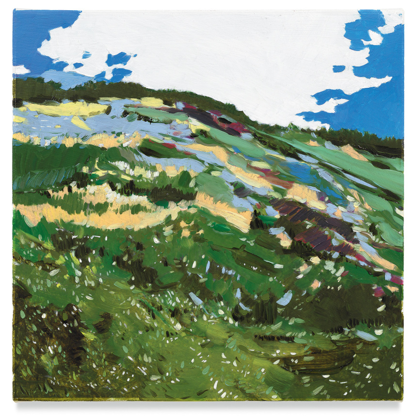 No Name (Hill), 2019, Mixed media oil on canvas, 14 x 14 inches, 35.6 x 35.6 cm, (MMG#32084)