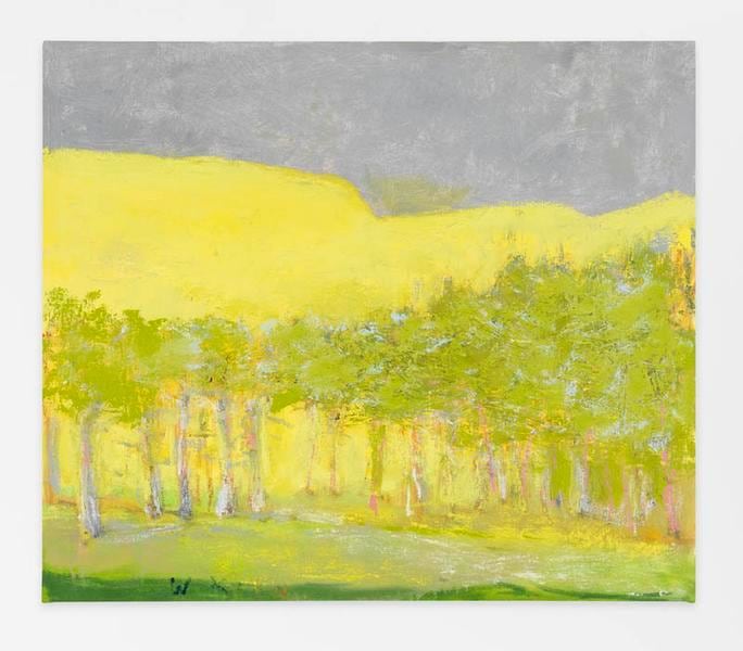 Dark Green Foreground Stripe, 2015, Oil on canvas, 24 x 28 inches, 61 x 71.1 cm, AMY#22649