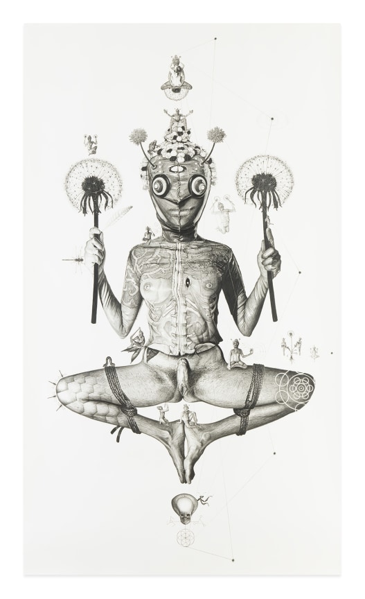 Gavin Wilson, Naked Sage: Dandelion Holder, 2014, Pencil on paper, 103 x 59 inches, 261.6 x 149.9 cm, MMG#32599