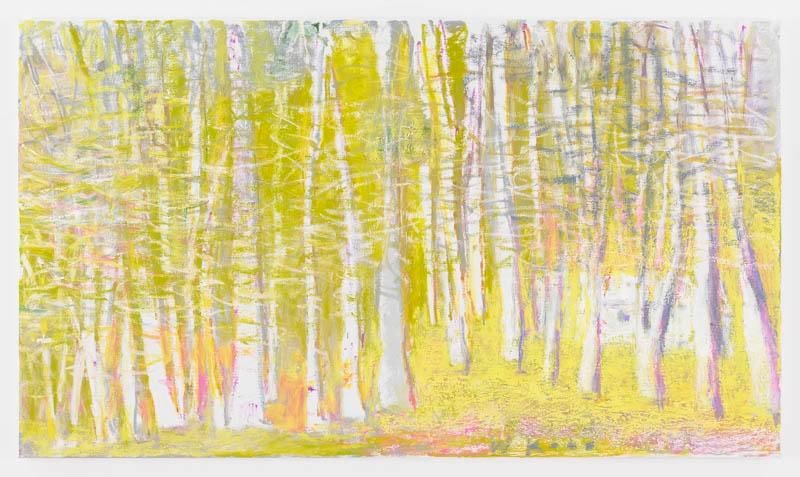 Hidden Greenhouse, 2015, Oil on canvas, 30 x 52 inches, 76.2 x 132.1 cm, AMY#22734