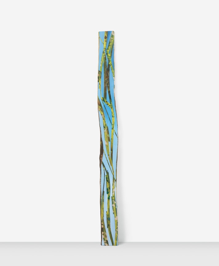 Growth, 2018, Acrylic and spray paint on cypress 123 x 10 x 1 inches, 312.4 x 25.4 x 2.5 cm, MMG#30715