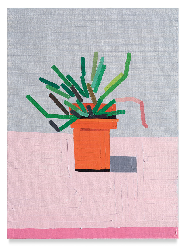 Guy Yanai, Lost Friend Plant, 2019