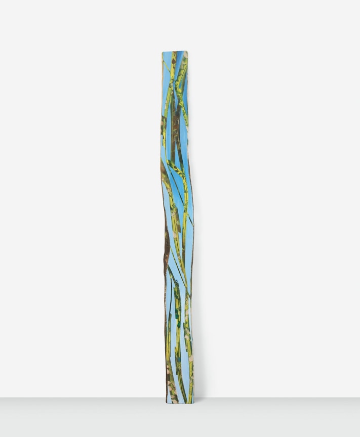 Growth, 2018, Acrylic and spray paint on cypress 123 x 10 x 1 inches, 312.4 x 25.4 x 2.5 cm, MMG#30715