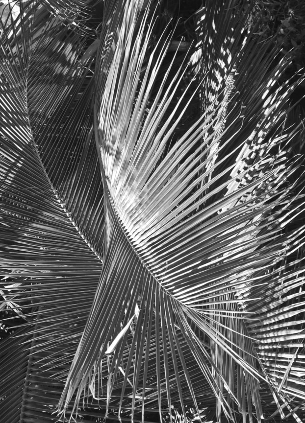 Rebecca Steele Untitled No. 9 from the series Active Dust Wall, 2018