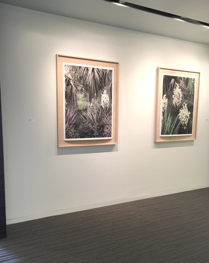 Jordan Tate&nbsp; New Romantics #7 and&nbsp;New Romantics #5