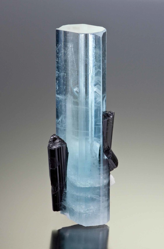 Jordan Tate, Alternate Projects, Alternative Dreamers