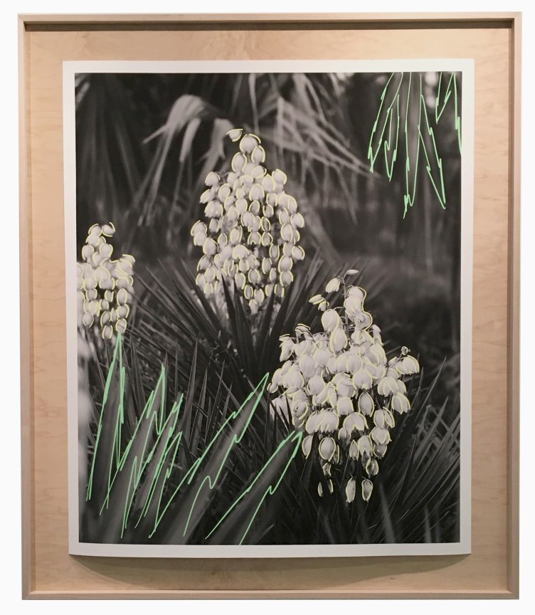 Jordan Tate, Alternate Projects, Alternative Dreamers