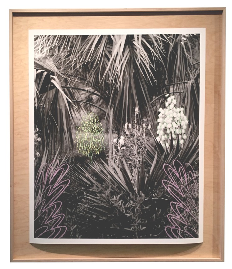 Jordan Tate, Alternate Projects, Alternative Dreamers