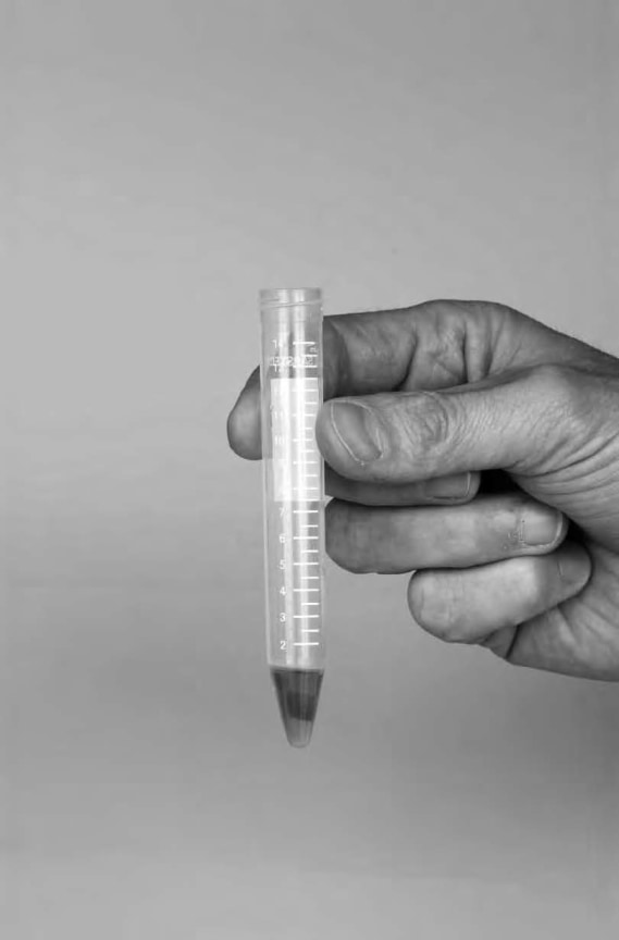 Jordan Tate, Alternate Projects, Alternative Dreamers