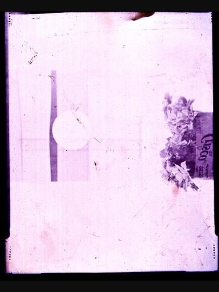 Rebecca Steele Untitled No. 11 from the series Active Dust Wall, 2018