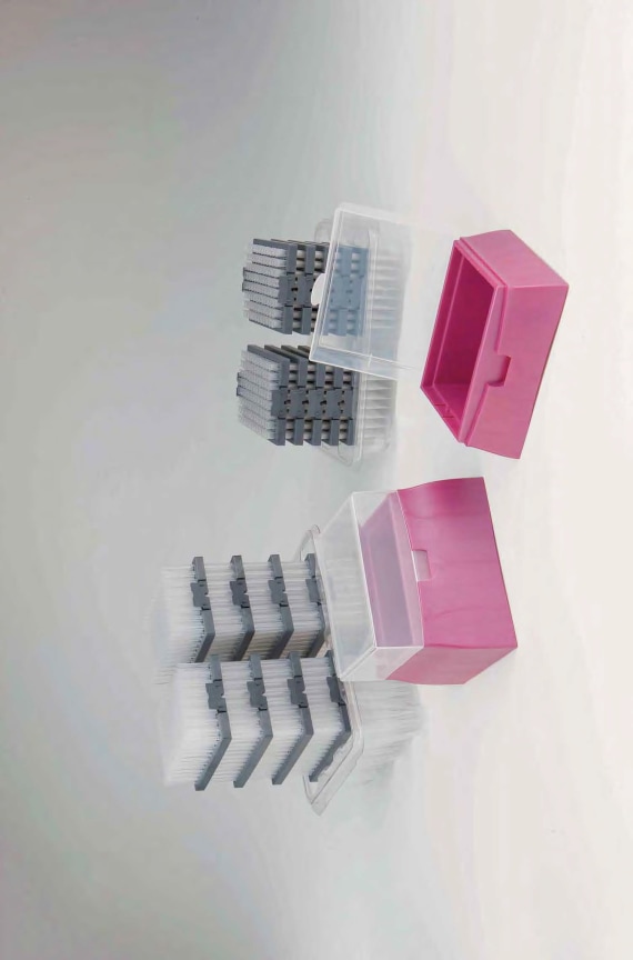 Jordan Tate, Alternate Projects, Alternative Dreamers