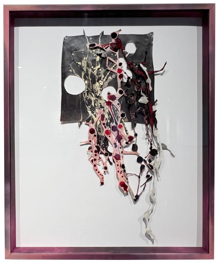 Circles, Squiggles, and Lines