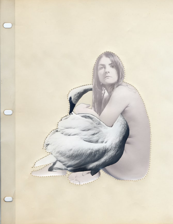 Bea Nettles Alternate Projects