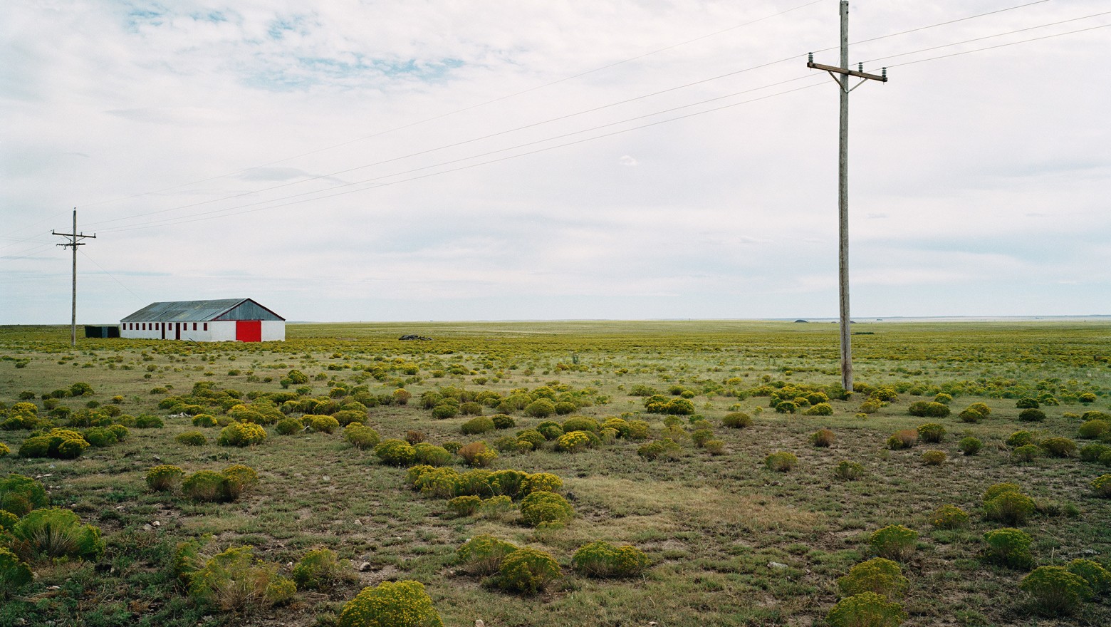 On the Road with Catherine Opie