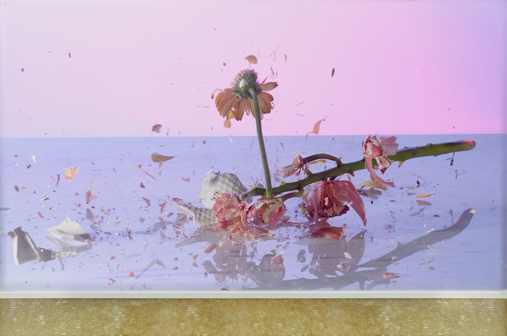 Flora and Fauna , Photograph with pills 