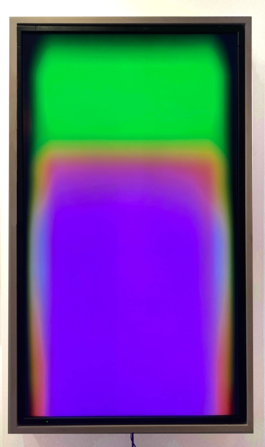 Richard Garet Perceptual; Rainbow Thief, 2013