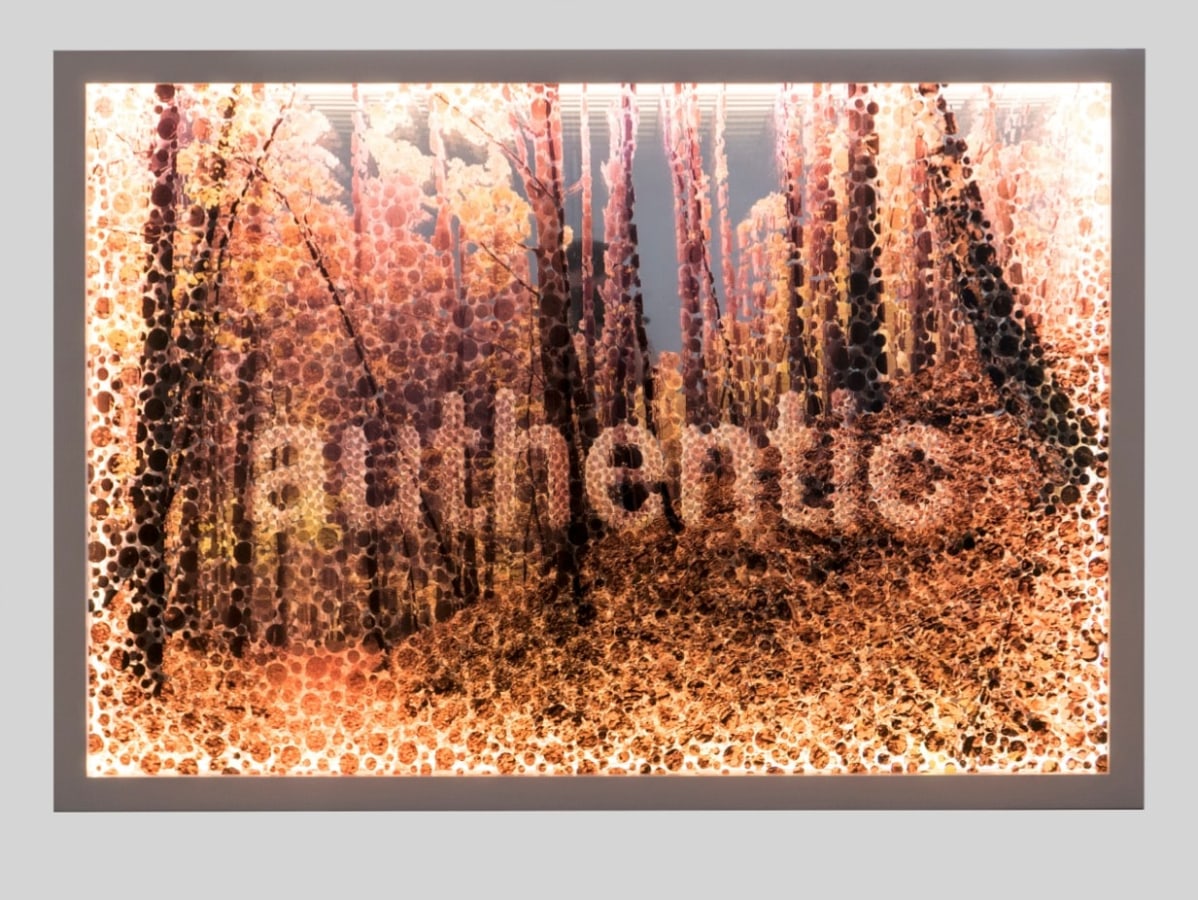 Authentic,, Digital print on acrylic glass, LED