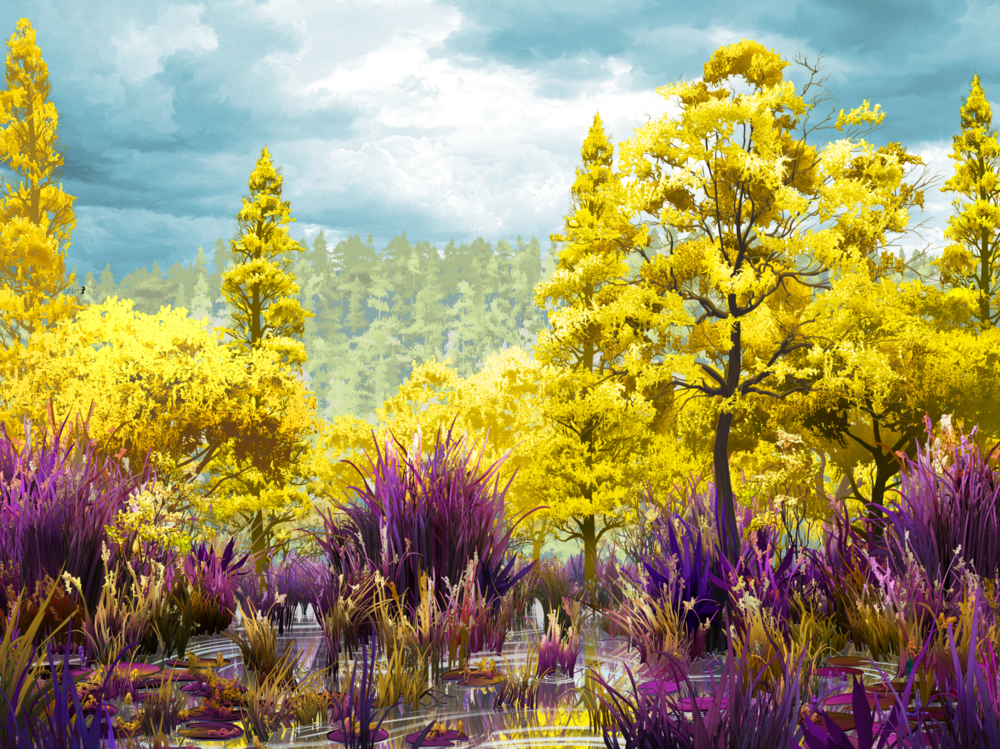 Fields at Play, Limited edition of 200 signed prints