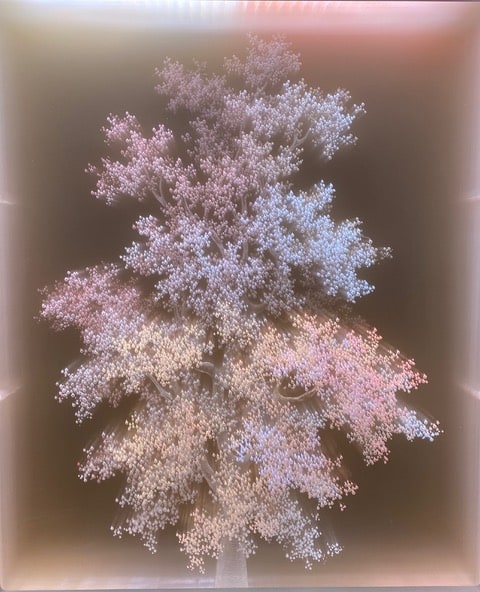 Autumn Leaves, 2020, Refracted light, glass, acrylic, motion programmed LED lights